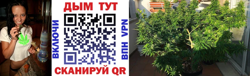Купить наркотики сайты Каргополь ЭКСТАЗИ A-PVP АМФ Гашиш МАРИХУАНА Мефедрон Кокаин