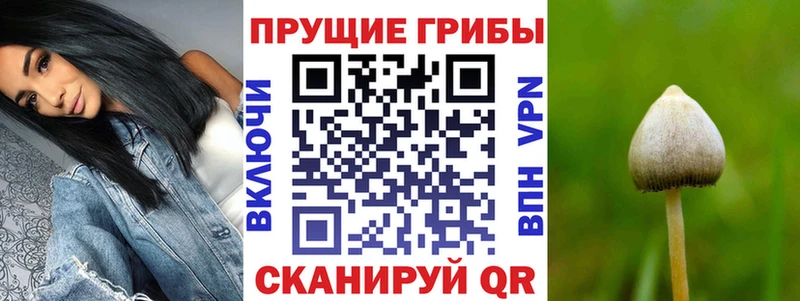 Псилоцибиновые грибы прущие грибы Каргополь